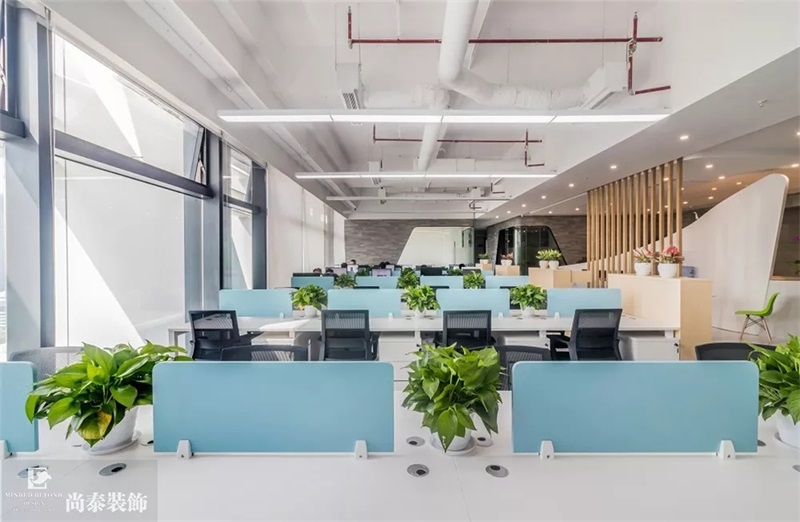 辦公室裝修實(shí)景圖