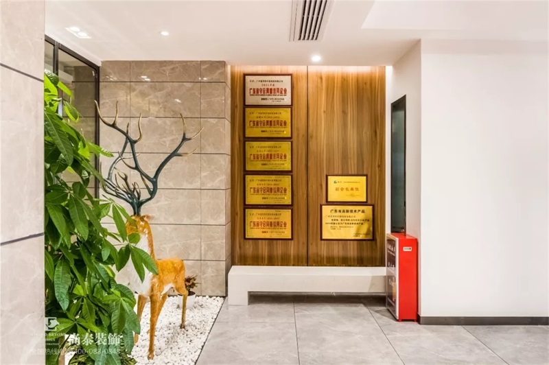 展示區(qū)裝修實景圖