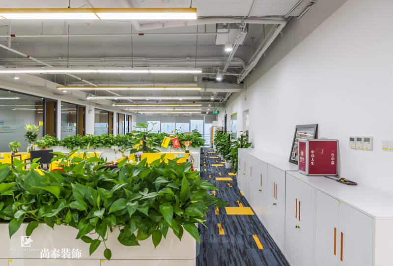 辦公室走廊裝修實(shí)景圖
